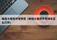 微信小程序开发预览（微信小程序开发预览怎么打开）